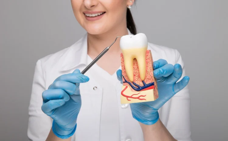  Root Canal Treatment Cost: Is It Worth the Money?